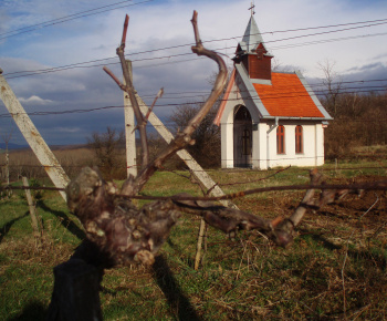 Naša obec