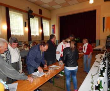 Slánosť stavania mája 2015, 70. výročie oslobodenia obce  