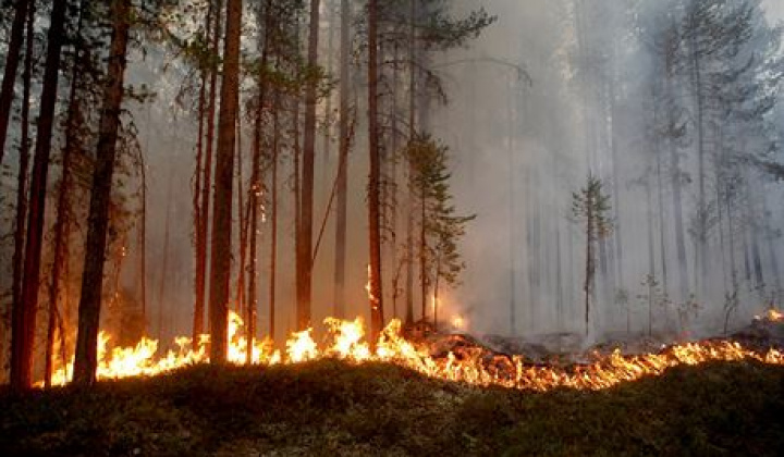 Ochrana lesov pred požiarmi