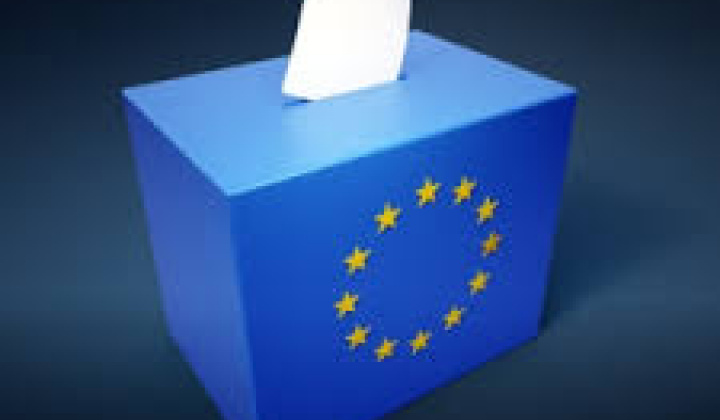 Voľby do Európskeho parlamentu                          8. júna 2024